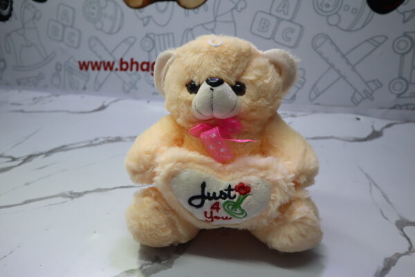 Soft Toys – Teddy -19