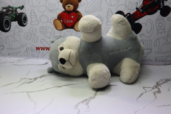 Soft Toys – Teddy -25