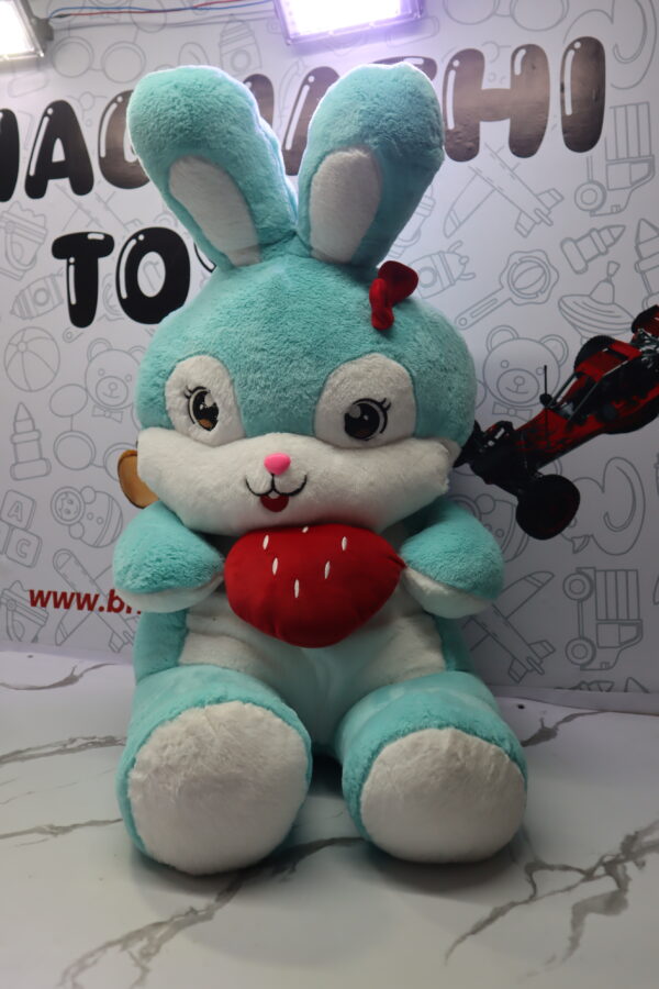 Soft Toys – Teddy -38